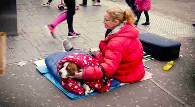 dogs-owned-by-homeless-people-were-given-winter-coats