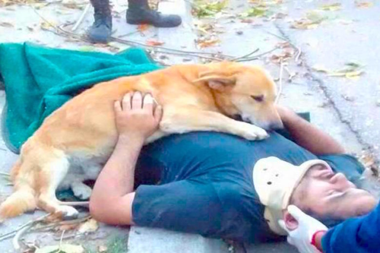 dog-refuses-to-stop-hugging-his-owner-who-was-injured