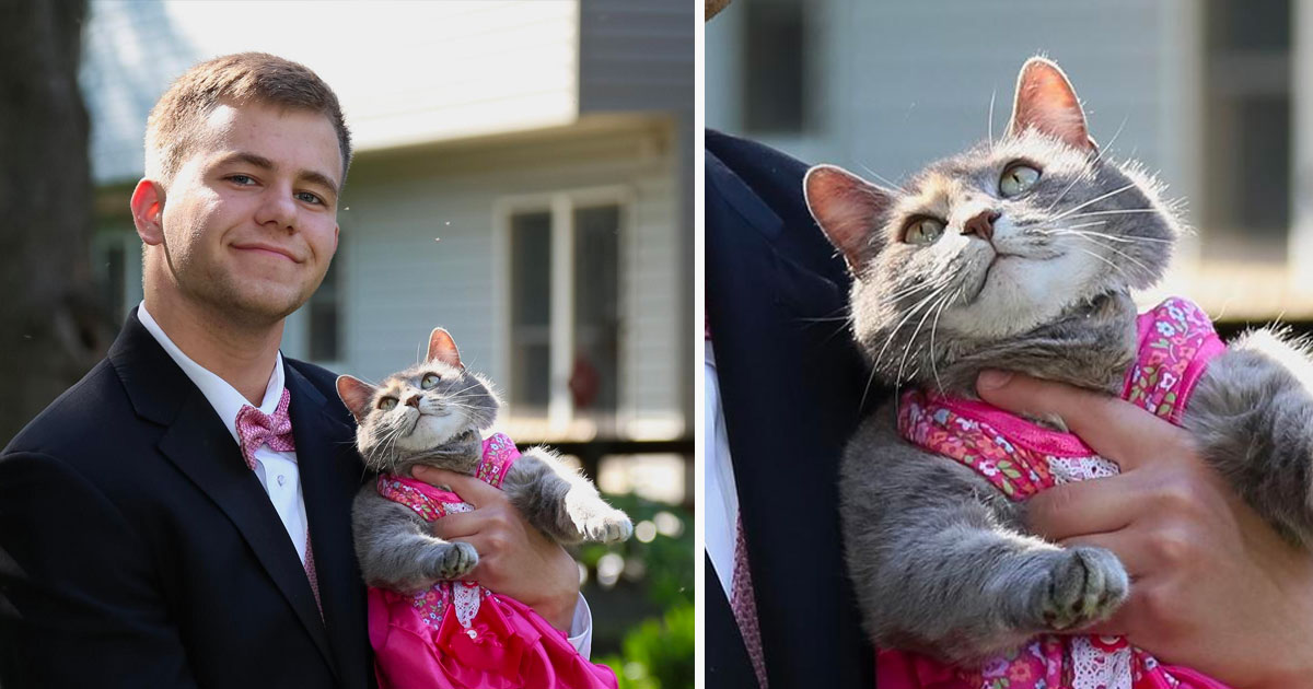 teen-cant-find-a-date-for-his-prom-then-decided-to-take-his-cat-instead-