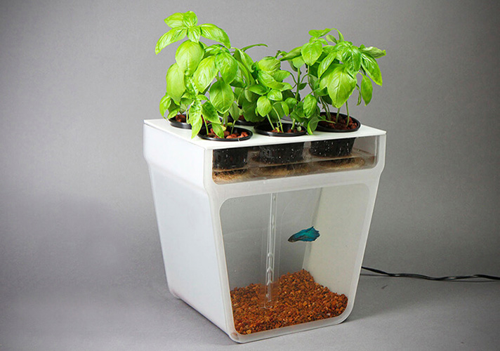 self-cleaning-tanks-that-can-re-grow-food-amazing