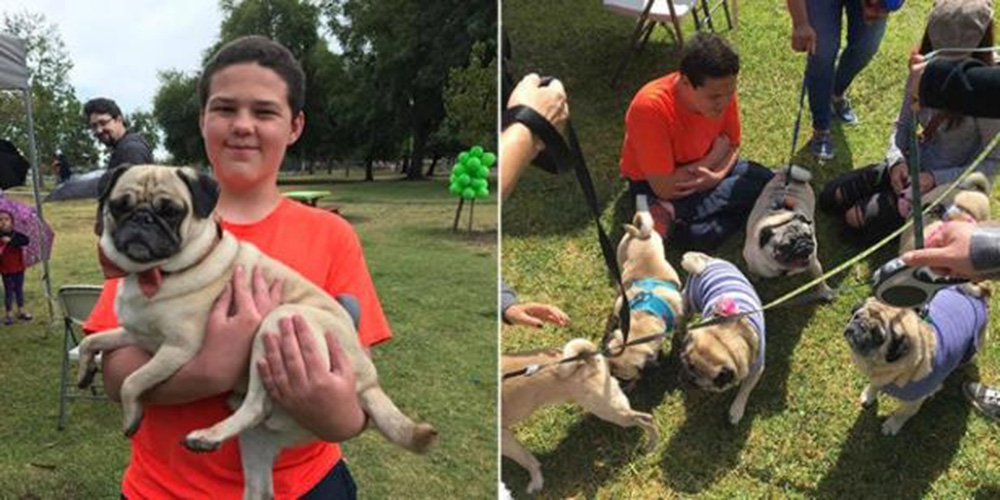 sister-surprises-her-autistic-brother-with-100-pugs-birthday-party